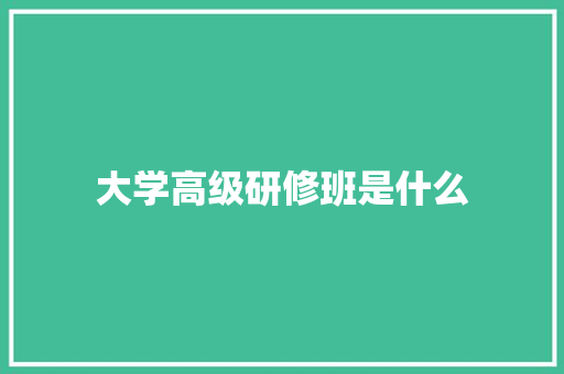 大学高级研修班是什么 教育论文