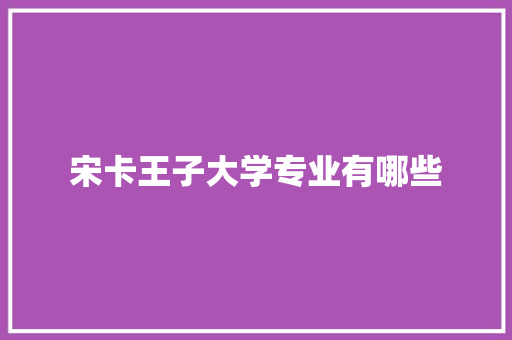 宋卡王子大学专业有哪些 文秘写作