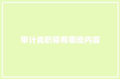 审计类职称有哪些内容 策划方案