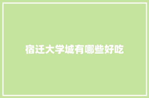 宿迁大学城有哪些好吃 论文
