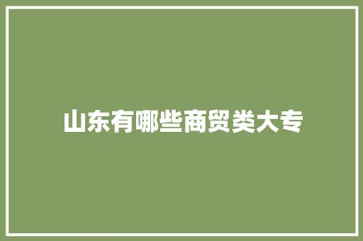 山东有哪些商贸类大专 策划方案