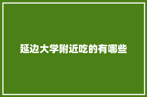 延边大学附近吃的有哪些 办公写作