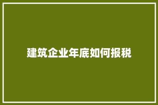 建筑企业年底如何报税 个人简历