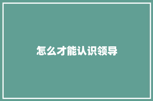 怎么才能认识领导 论文