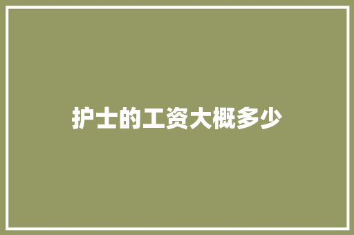 护士的工资大概多少 策划方案