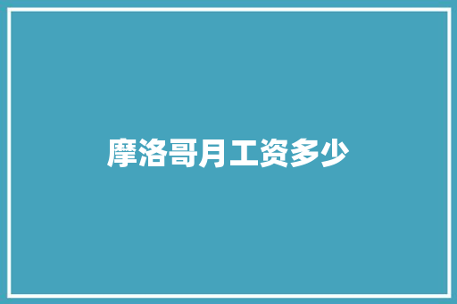 摩洛哥月工资多少 简历资料