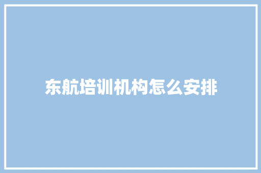 东航培训机构怎么安排 教育论文