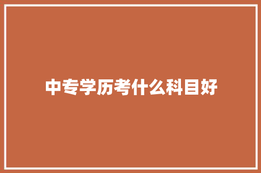 中专学历考什么科目好 计算机论文
