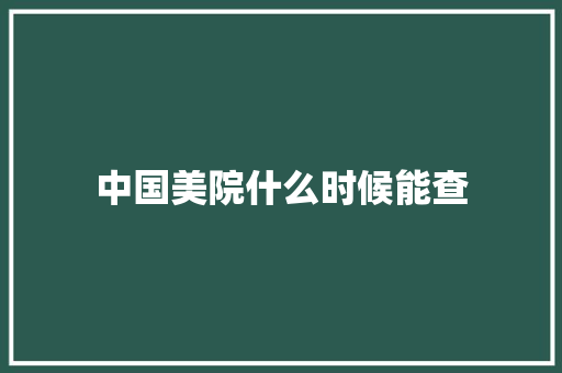 中国美院什么时候能查 英文简历