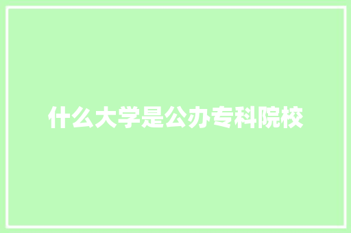 什么大学是公办专科院校 管理论文