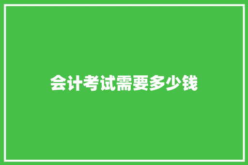 会计考试需要多少钱 论文