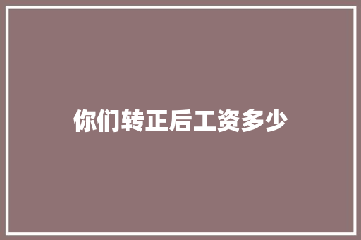 你们转正后工资多少 简历资料