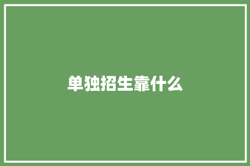 单独招生靠什么 个人简历