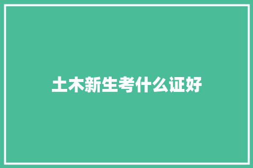 土木新生考什么证好 论文
