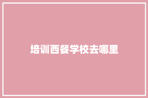 培训西餐学校去哪里 管理论文