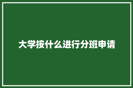 大学按什么进行分班申请 论文