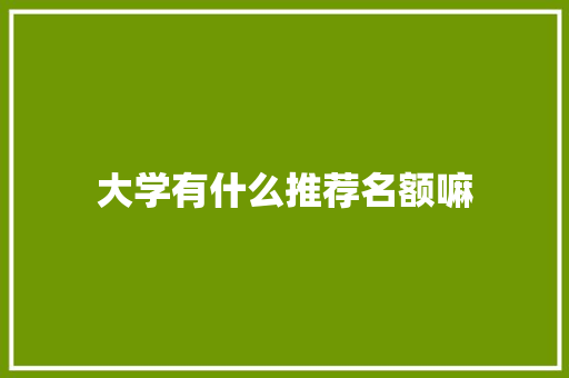 大学有什么推荐名额嘛 社会论文