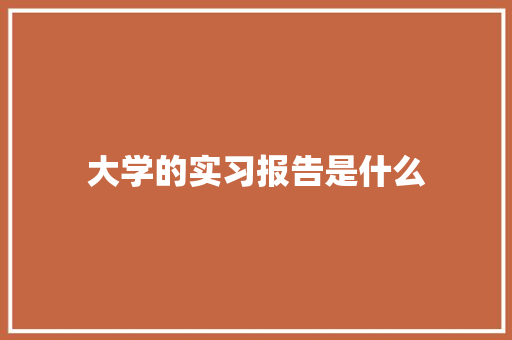 大学的实习报告是什么 策划方案