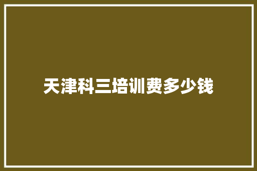 天津科三培训费多少钱 管理论文