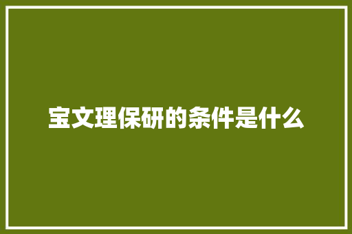 宝文理保研的条件是什么 面试技巧