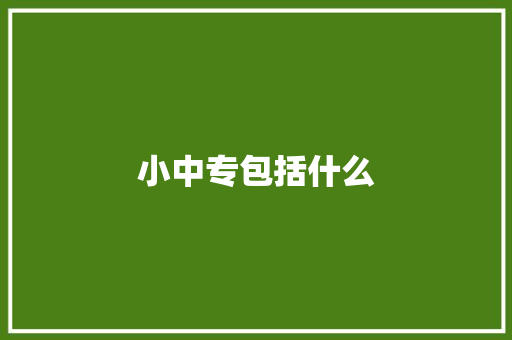 小中专包括什么 担保书