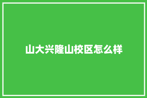 山大兴隆山校区怎么样 英文简历