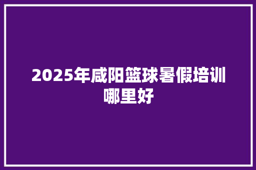2025年咸阳篮球暑假培训哪里好 公证书