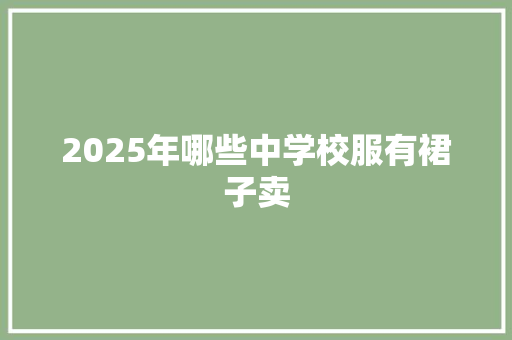 2025年哪些中学校服有裙子卖 个人简历