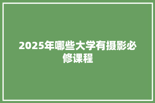 2025年哪些大学有摄影必修课程 毕业设计