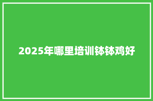 2025年哪里培训钵钵鸡好 论文