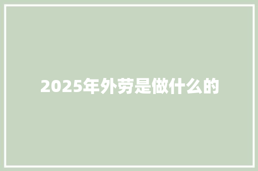 2025年外劳是做什么的 毕业设计