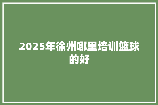 2025年徐州哪里培训篮球的好 承诺书