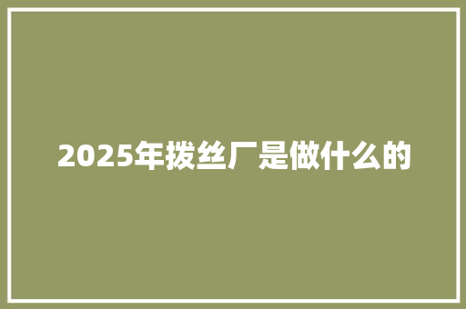 2025年拨丝厂是做什么的 面试技巧