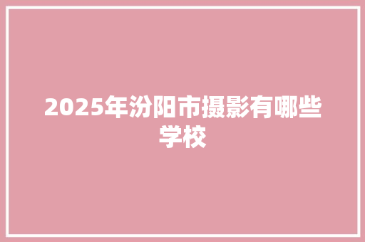 2025年汾阳市摄影有哪些学校 教育论文
