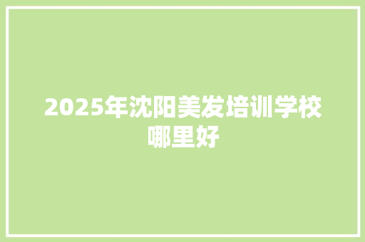 2025年沈阳美发培训学校哪里好 简历资料