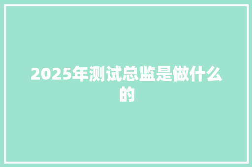 2025年测试总监是做什么的 个人简历