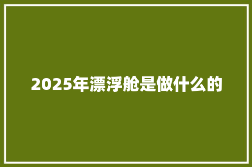 2025年漂浮舱是做什么的 保证书