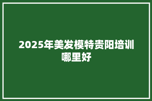 2025年美发模特贵阳培训哪里好 条剧书信