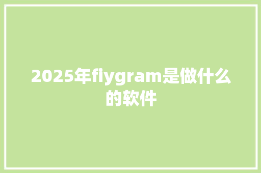 2025年fiygram是做什么的软件 承诺书