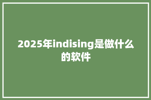 2025年indising是做什么的软件 担保书