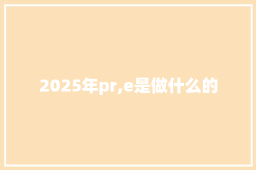 2025年pr,e是做什么的 教育论文