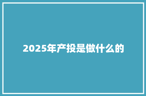 2025年产投是做什么的 保证书