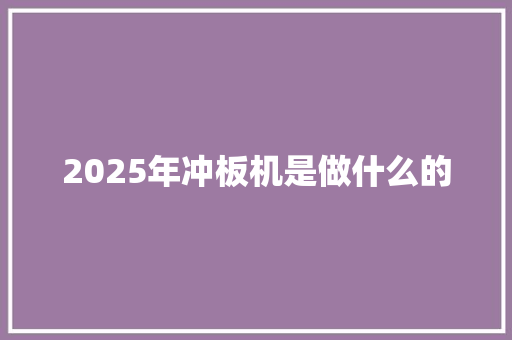 2025年冲板机是做什么的 毕业设计