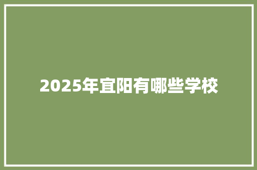 2025年宜阳有哪些学校 面试技巧