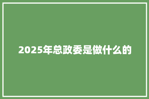 2025年总政委是做什么的 简历