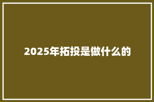 2025年拓投是做什么的 英文简历