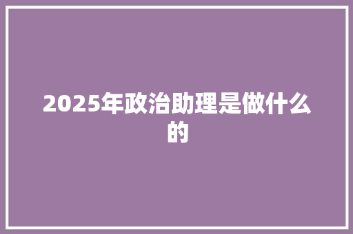2025年政治助理是做什么的 公证书