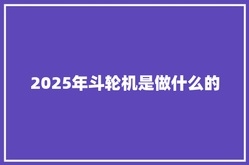 2025年斗轮机是做什么的 简历
