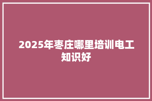 2025年枣庄哪里培训电工知识好 保证书