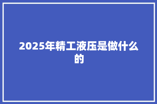 2025年精工液压是做什么的 表扬书